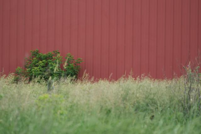 Red Wall